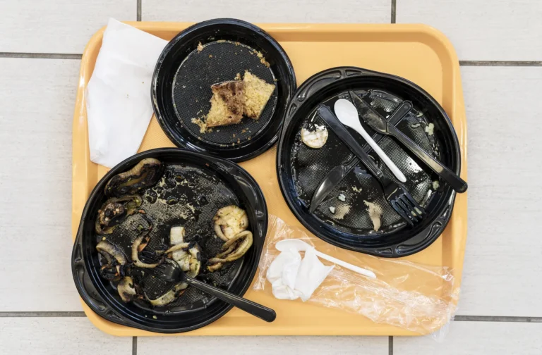 Proč ohřáté jídlo z mikrovlnky posílá Čechy na pohotovost? Může za to „syndrom čínské restaurace“, Bacillus cereus Proč ohřáté jídlo z mikrovlnky posílá Čechy na pohotovost? Může za to „syndrom čínské restaurace“, Bacillus cereus