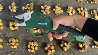 Test aku nůžek Parkside PGSA 14&nbsp;A1: Překvapivá výdrž, ale vysoká hlučnost