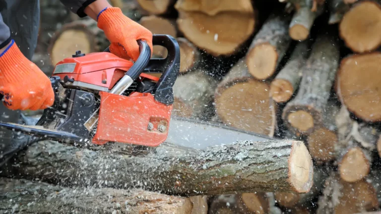 Nejhorší řetězové pily podle uživatelů (Listopad 2025): Kritiku sbírá profi Husqvarna i&nbsp;levný Kraft & Dele