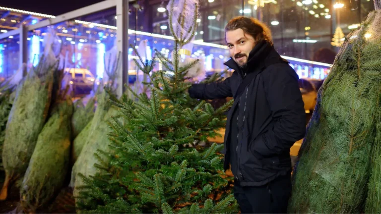Ceny řezaných vánočních stromků (2025): Mountfield, IKEA, OBI, Hornbach a&nbsp;UNI Hobby