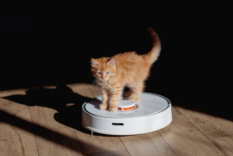 Nejlepší robotické vysavače (Únor 2026): Na tyto modely od Dreame, Roborock a&nbsp;Concept si připravte min. 25&nbsp;000&nbsp;Kč