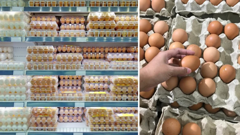 Lidl přestal chladit vejce: Nová vyhláška podmínky skladování mění