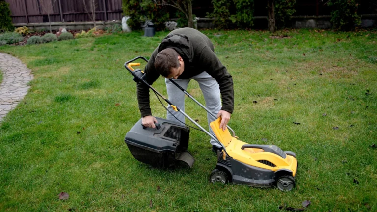 Zákaz sekání trávy v&nbsp;neděli: Porušení se může prodražit až na 30&nbsp;000&nbsp;Kč, udání může přijít i&nbsp;od souseda