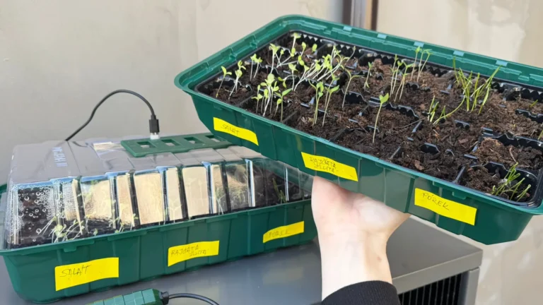 Otestovala jsem 2 pařeniště Parkside z&nbsp;Lidlu: Levnější model je klasický plast, dražší za 230&nbsp;Kč&nbsp;funguje i&nbsp;ve stínu