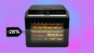 Sleva dne: Sušička Gorenje FDK600DB ve slevě 28&nbsp;%: Má 6 nerezových plat a&nbsp;digitální ovládání za 2&nbsp;056&nbsp;Kč