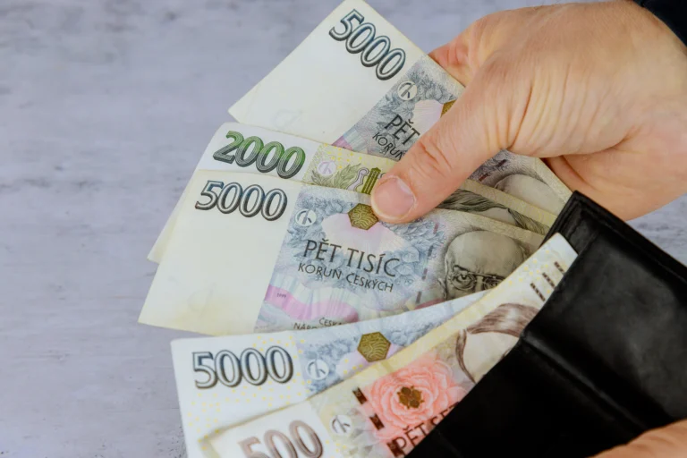 Na standard německé střední třídy potřebují Češi přes 100&nbsp;000&nbsp;Kč&nbsp;měsíčně. 2/3 zaměstnanců na to nikdy nedosáhnou
