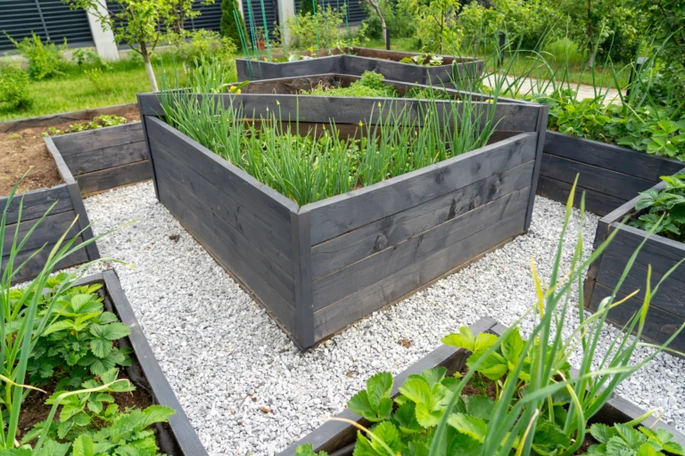 Americké záhony jako nový trend: Zahrada bez sekání a&nbsp;plevele, stačí jen štěrk. Češi to zatím podceňují