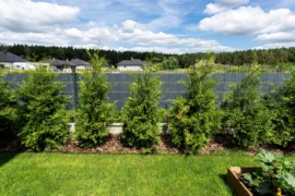 Končí Češi v&nbsp;roce 2026&nbsp;s&nbsp;tújemi? Nahrazuje je Habr a&nbsp;2 celoroční varianty. Lidé je i&nbsp;míchají dohromady