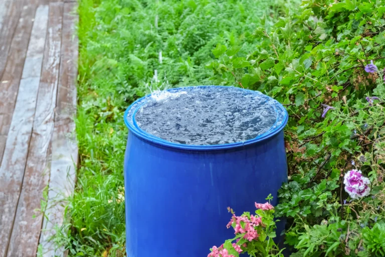 Internetem se šíří panika kvůli „zákazu používání dešťové vody“: Sud pod okapem je v&nbsp;pohodě, pokuty jsou za extrémy