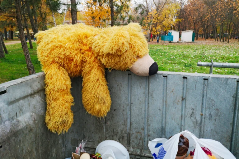 Žena vyhodila staré hračky a&nbsp;dostala pokutu 320&nbsp;000&nbsp;Kč: Pravidlo platí i&nbsp;v&nbsp;Česku. Zkoumali jsme, na co si dát pozor