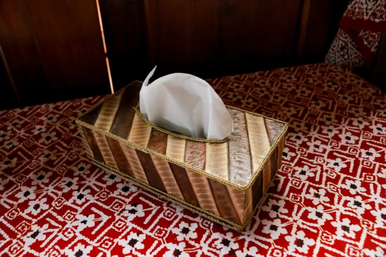 Češi upouštějí od papírových kapesníků: Vrací se k&nbsp;řešení po našich babičkách, ušetří tím skoro 2&nbsp;000&nbsp;Kč&nbsp;ročně