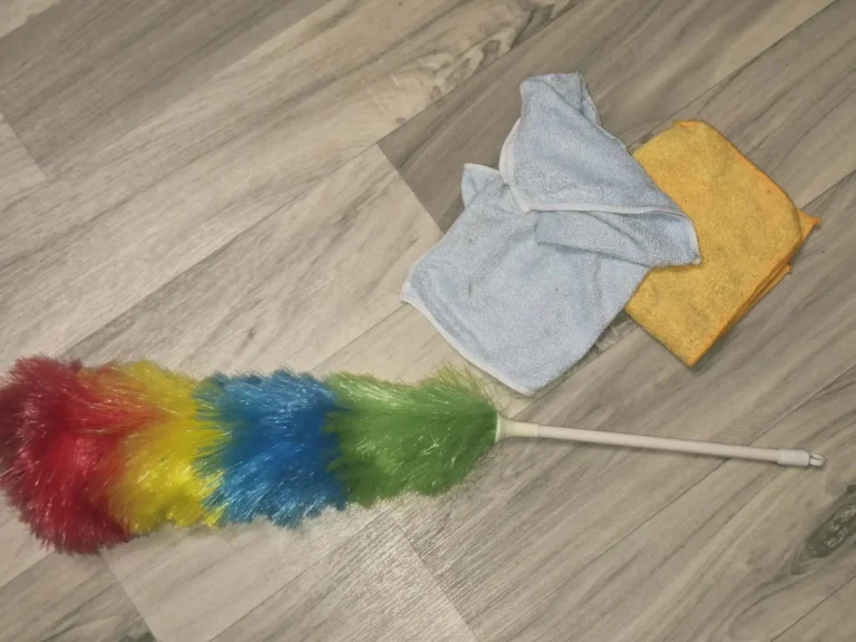 Češi se prý už nadobro zbavují prachovek. Vyzkoušela jsem rozdíly, mikrovlákno vítězí