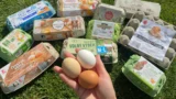 Velký test 11 balení vajec ze supermarketů (Test 2026): Tmavý žloutek ani volný výběh neznamená lepší vejce