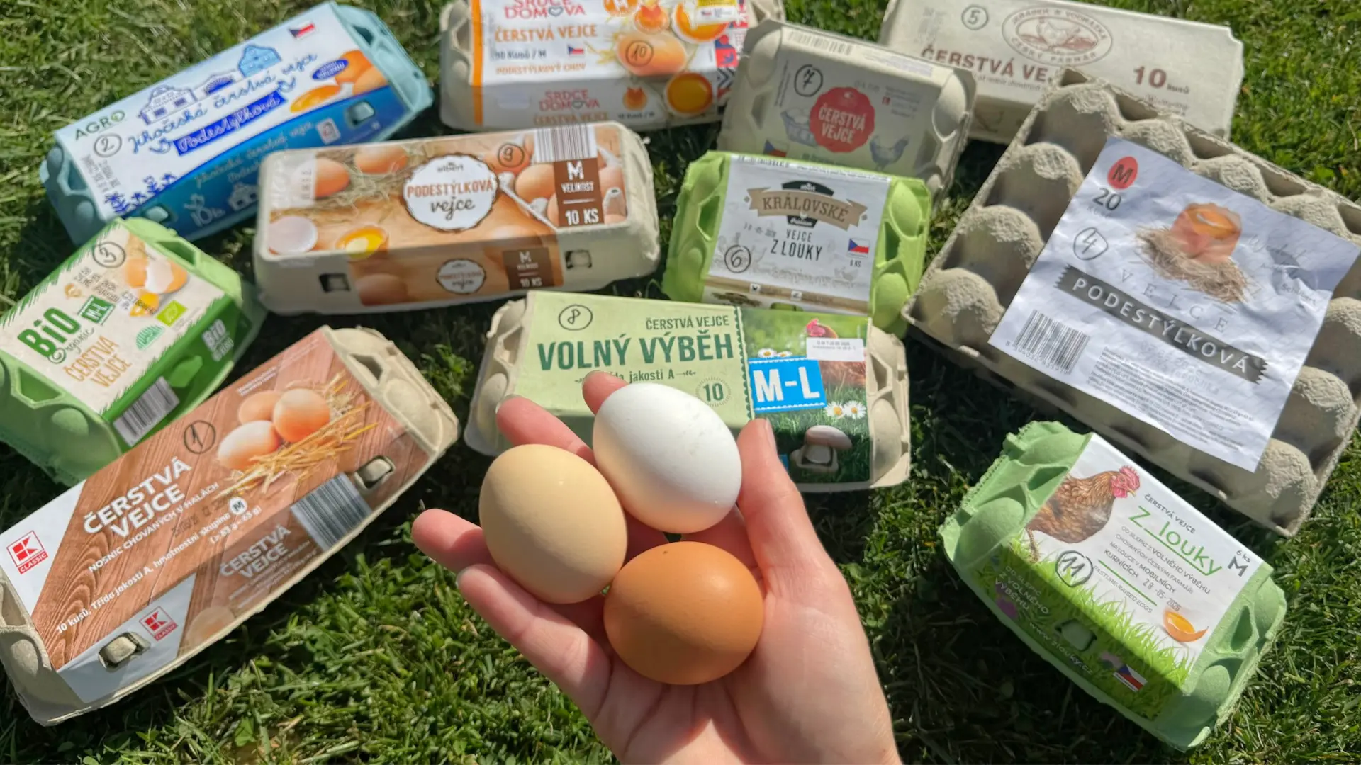 Velký test 11 balení vajec ze supermarketů (Test 2026): Tmavý žloutek ani volný výběh neznamená lepší vejce