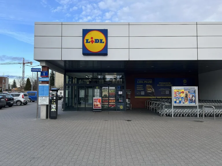 Proč je Lidl tak levný? Češi tam šetří i&nbsp;130&nbsp;Kč&nbsp;na jednom nákupu. Můžou za to dle některých neetické praktiky