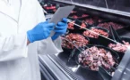 SZPI Zasahuje: Penny a&nbsp;Tesco stahují závadné maso, v&nbsp;Actionu inspektoři našli nekvalitní med