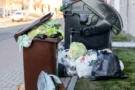 Pokuta za přeplněnou popelnici? Češi „omylem“ zakládají černé skládky. Sankce je až 50&nbsp;000&nbsp;Kč