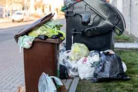 Pokuta za přeplněnou popelnici? Češi „omylem“ zakládají černé skládky. Sankce je až 50&nbsp;000&nbsp;Kč