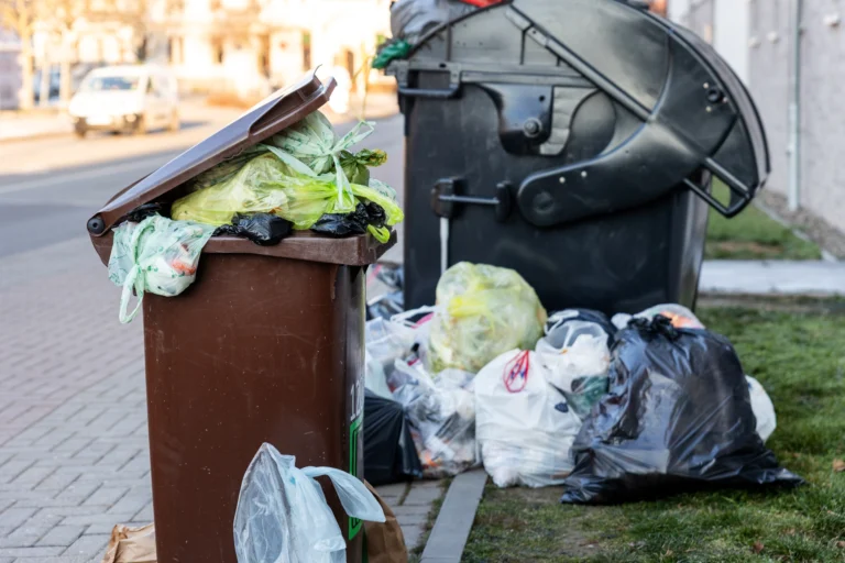 Pokuta za přeplněnou popelnici? Češi „omylem“ zakládají černé skládky. Sankce je až 50&nbsp;000&nbsp;Kč
