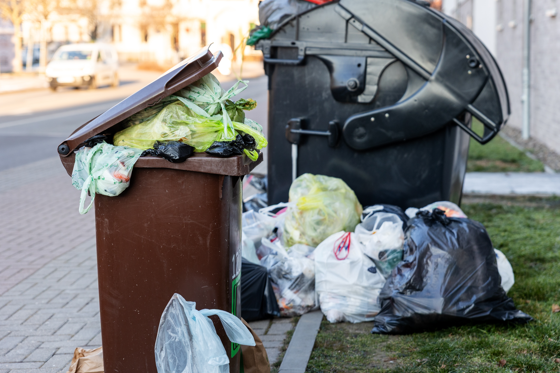 Pokuta za přeplněnou popelnici? Češi „omylem“ zakládají černé skládky. Sankce je až 50&nbsp;000&nbsp;Kč