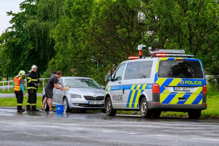 Nejvíc nesmyslné pokuty v&nbsp;ČR: Umývání auta na ulici za 5000&nbsp;Kč, poděkování blinkry a&nbsp;další perly, ze kterých si Češi ťukají na čelo
