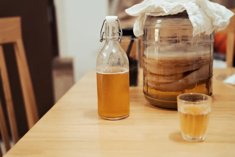 Češi se vrací k&nbsp;domácí limonádě babiček: Fermentace je skvělá do léta 2026&nbsp;a&nbsp;pomůže s&nbsp;trávením