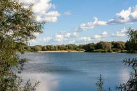 Jezero Lhota u&nbsp;Prahy: Písčité pláže a&nbsp;borovice lákají, den pro rodinu ale vyjde klidně přes 1&nbsp;000&nbsp;Kč
