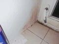 Růžový sliz v&nbsp;koupelně má skoro každý Čech, i&nbsp;já: Vypadá nevinně, ale představuje riziko. Zkusila jsem dezinfekci i&nbsp;jedlou sodu