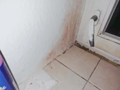 Růžový sliz v&nbsp;koupelně má skoro každý Čech, i&nbsp;já: Vypadá nevinně, ale představuje riziko. Zkusila jsem dezinfekci i&nbsp;jedlou sodu