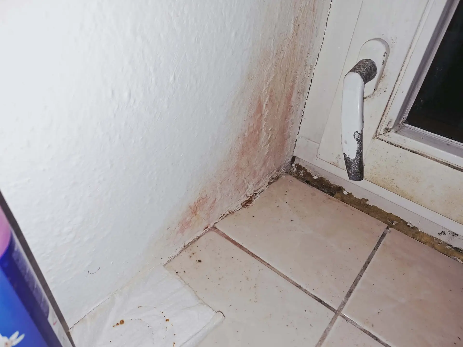Růžový sliz v&nbsp;koupelně má skoro každý Čech, i&nbsp;já: Vypadá nevinně, ale představuje riziko. Zkusila jsem dezinfekci i&nbsp;jedlou sodu