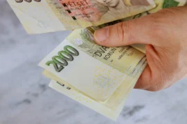 Češi zaplatí na dani z&nbsp;příjmu ročně okolo 60&nbsp;000&nbsp;Kč: Částka patří k&nbsp;nejnižším v&nbsp;Evropě, z&nbsp;výplaty přesto zmizí 41&nbsp;%