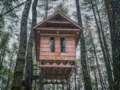 Úřady ve velkém zaklekávají na „treehousy“ v&nbsp;lesích. Majitelé stavěli „na černo“ a&nbsp;platí i&nbsp;300 tisíc pokuty. „Je to posed,“ brání se