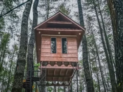 Úřady ve velkém zaklekávají na „treehousy“ v&nbsp;lesích. Majitelé stavěli „na černo“ a&nbsp;platí i&nbsp;300 tisíc pokuty. „Je to posed,“ brání se