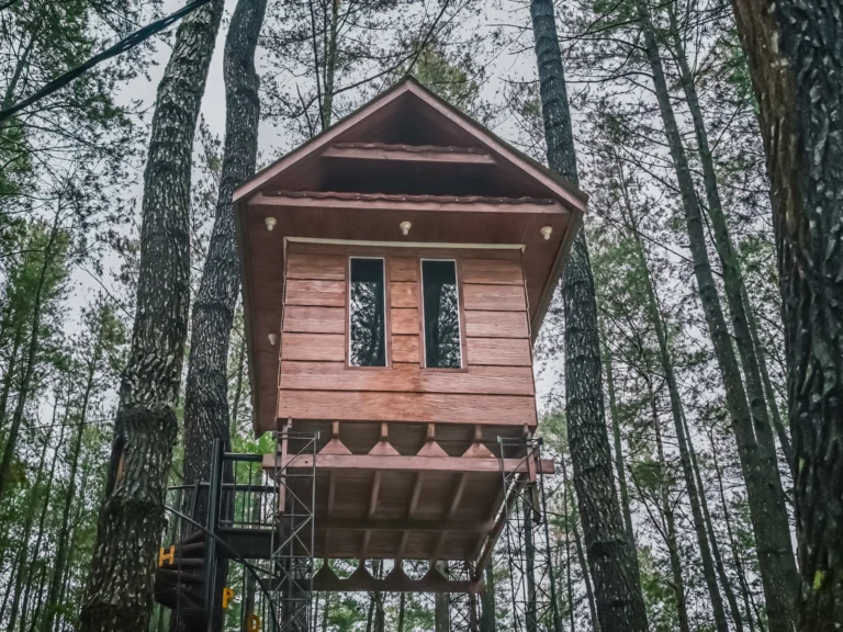 Úřady ve velkém zaklekávají na „treehousy“ v&nbsp;lesích. Majitelé stavěli „na černo“ a&nbsp;platí i&nbsp;300 tisíc pokuty. „Je to posed,“ brání se