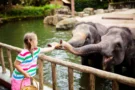 Nejhezčí zoo v&nbsp;okolí ČR (2026): V&nbsp;Polsku boduje Vratislav s&nbsp;Afrikáriem, ve Vídni chová Schönbrunn dvě pandy velké