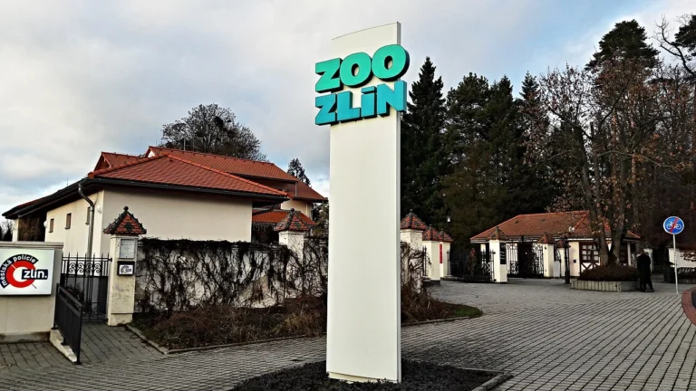 Nejkrásnější Zoo Evropy je za rohem: Má skvělé hodnocení 4,8&nbsp;a&nbsp;prý je ještě lepší než ta v&nbsp;Praze