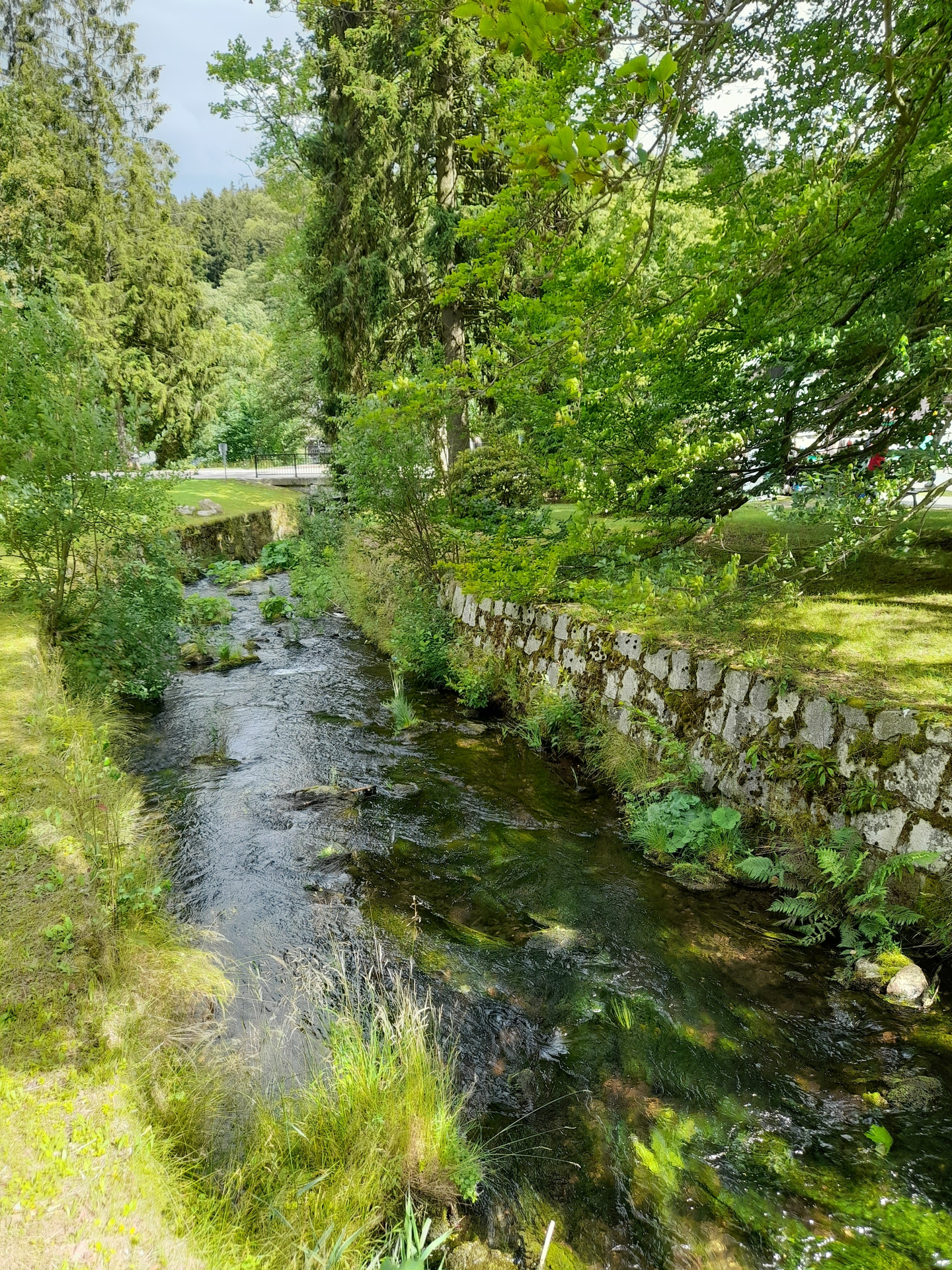 Bílá Opava protékající lázeňským parkem v Karlově Studánce