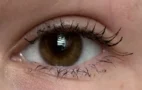 3 nejhorší řasenky z&nbsp;drogerie (Test 2026): I&nbsp;slavný Max Factor propadl, jeho novinka způsobila pandí oči