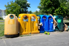 Obrázkový kvíz o&nbsp;recyklaci (2026): Víte, kam patří účtenka nebo plato od vajíček? Otestujte se na 10 otázkách