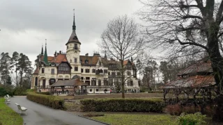 Nejkrásnější Zoo Evropy je podle hodnocení v&nbsp;ČR: Zlín boduje zámkem i&nbsp;zátokou rejnoků. Praha počtem hlasů