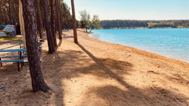 Borovice, čistá voda a&nbsp;jemný písek: Jezero Lhota jako „Český Karibik“ dobylo v&nbsp;roce 2026 internet