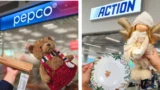 Navštívila jsem Pepco a&nbsp;Action: Vánoce v&nbsp;létě, Velikonoce o&nbsp;Vánocích. Proč obchody tolik spěchají a&nbsp;co máte koupit už teď