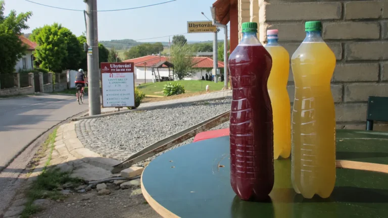 Burčák ze stánku nemusí být burčák: Rozhoduje původ hroznů, vůně a&nbsp;další 4 znaky, které poznáte na místě