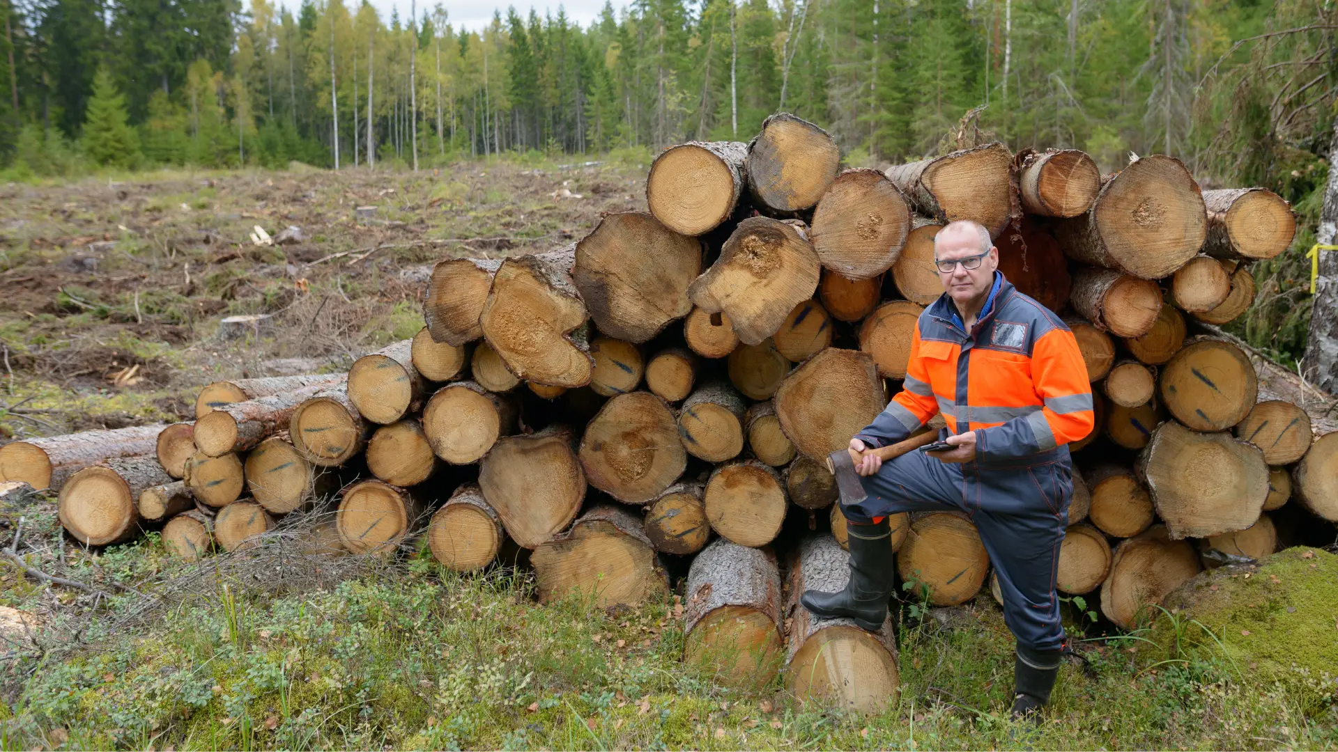 Kubík za 30 korun místo tisíců: Dřevo na zimu nabízí přímo stát, ročně si můžete odvézt až 35 kubíků