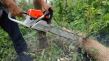 Vybírám 3 nejlepší motorové pily (září 2026): Stihl vede výkonem, Husqvarna za pětinu ceny má vlastní trumf