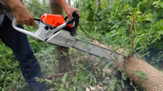 Vybírám 3 nejlepší motorové pily (září 2026): Stihl vede výkonem, Husqvarna za pětinu ceny má vlastní trumf