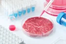 Steak z&nbsp;3D tiskárny už se prodává v&nbsp;Americe (2026): Má tukové žilky jako hovězí, a&nbsp;přitom ani gram masa. Našli jsme alternativu v&nbsp;ČR