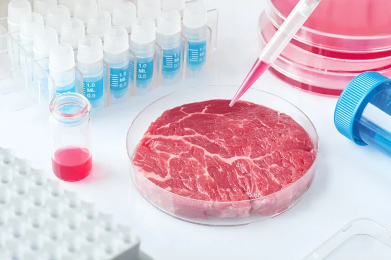 Steak z&nbsp;3D tiskárny už se prodává v&nbsp;Americe (2026): Má tukové žilky jako hovězí, a&nbsp;přitom ani gram masa. Našli jsme alternativu v&nbsp;ČR
