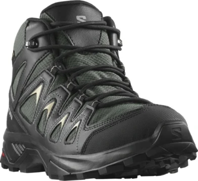 Salomon X Braze Mid GTX